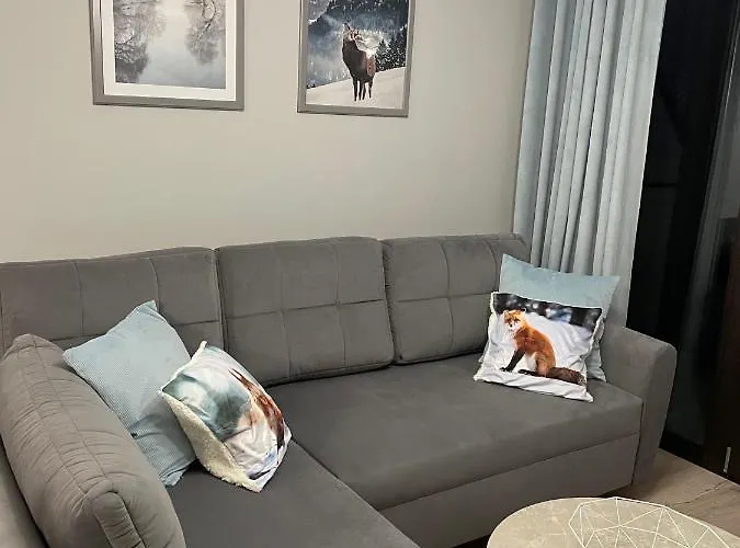 Silence Karpatia Tanzanit Karpacz